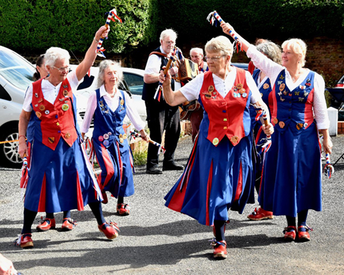Butterflies in action casting shadows from bright sunshine.