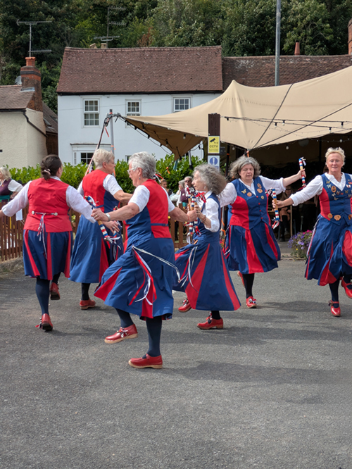 Butterflies dancing around like the spokes of a wheel