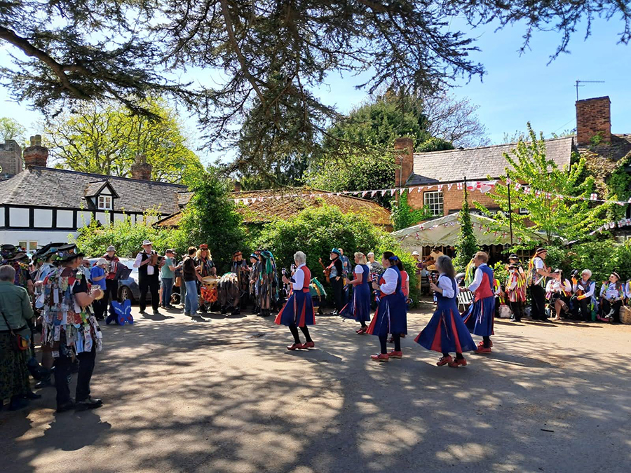 nancy butterfly dancing in the arena under the shade of a very large tree