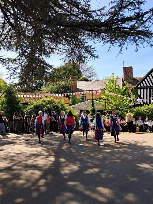 another view of the butterflies dancing in the shade of the tree