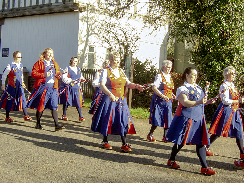 8 Butterflies in column of 8 in very bright sunshine