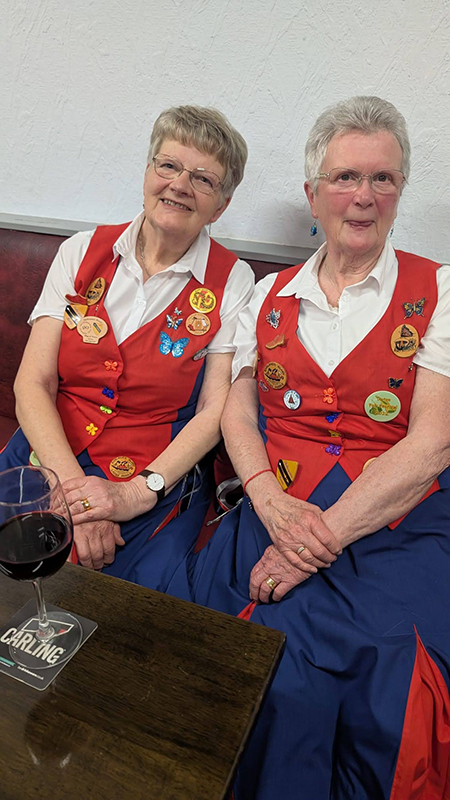 two Butterflies relaxing